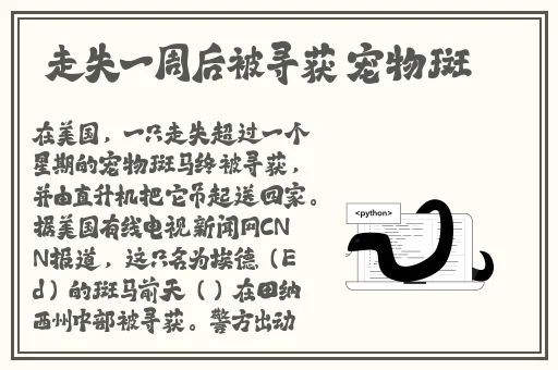 911制品厂白晶晶手表